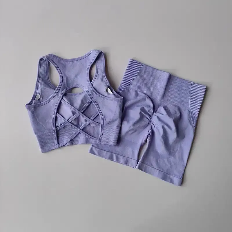 2 PCS Women's Seamless Yoga Set High Waist Sports Shorts