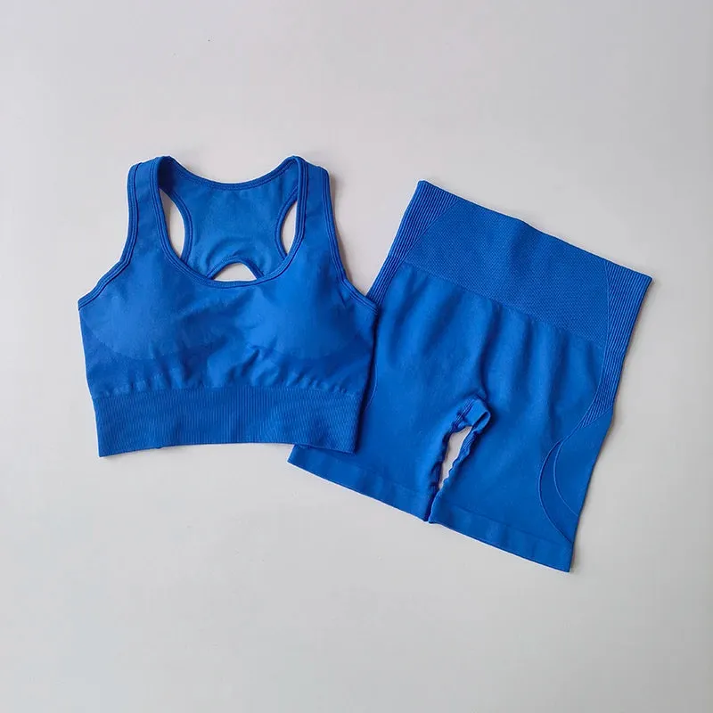 2 PCS Women's Seamless Yoga Set High Waist Sports Shorts