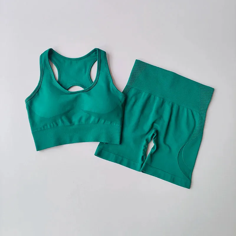 2 PCS Women's Seamless Yoga Set High Waist Sports Shorts