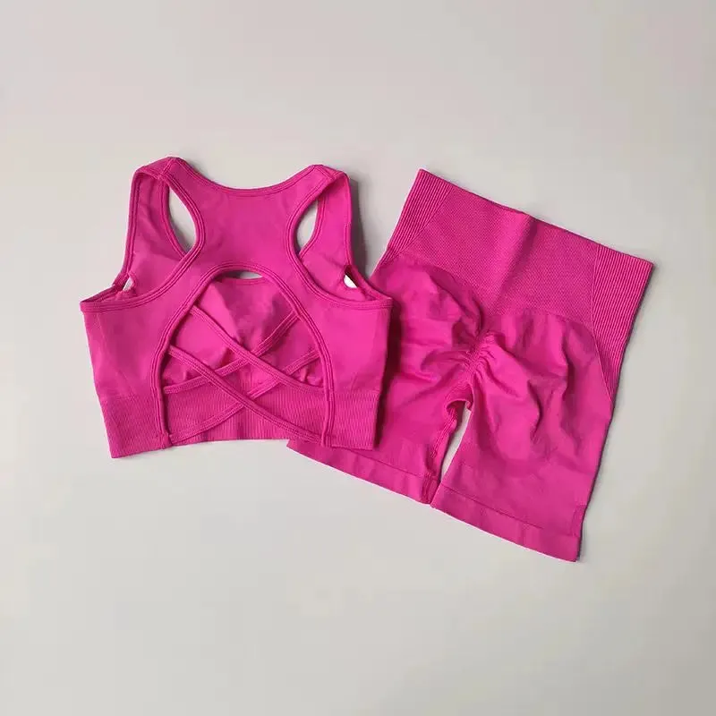 2 PCS Women's Seamless Yoga Set High Waist Sports Shorts