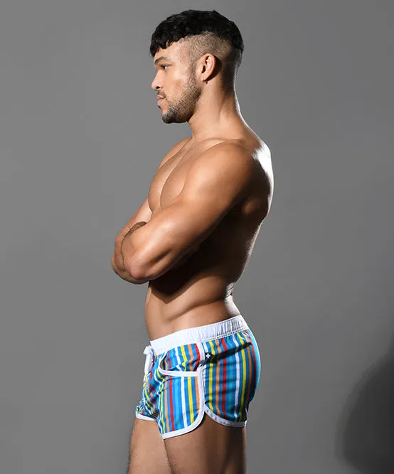 California Stripe Swim Shorts