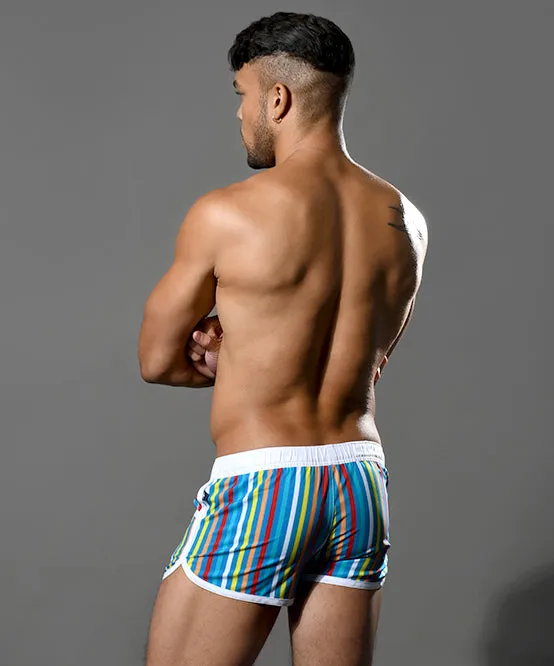 California Stripe Swim Shorts